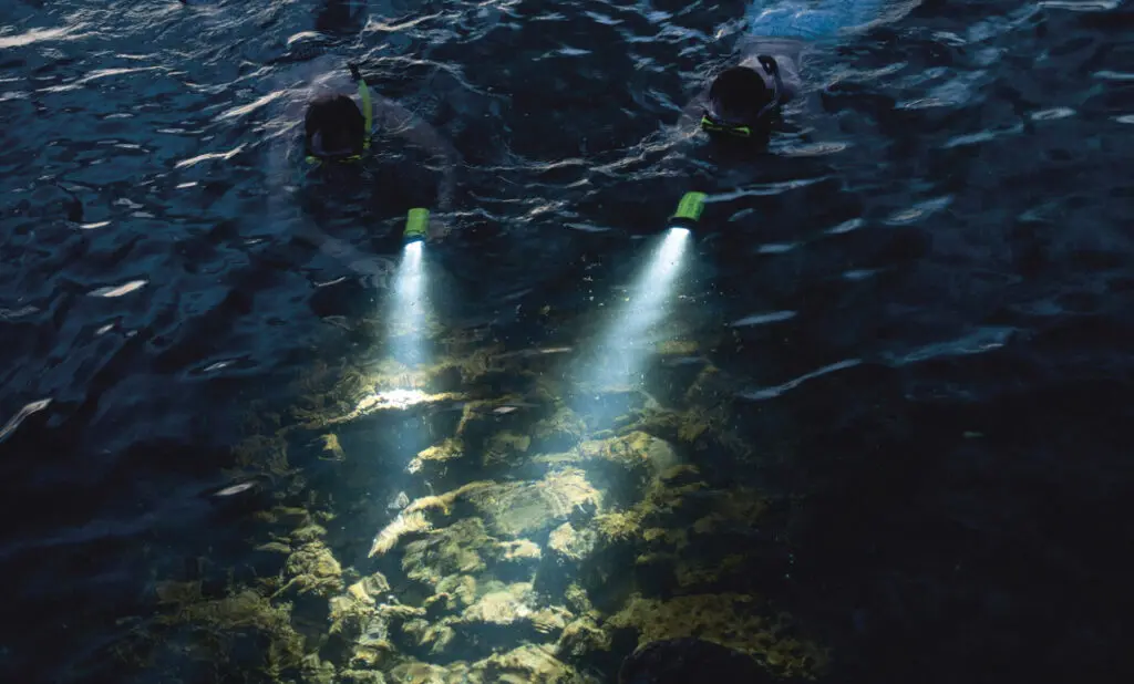 Night Snorkel Experience — DiveLife Playa del Carmen | Premium ocean adventure in the Mexican Caribbean