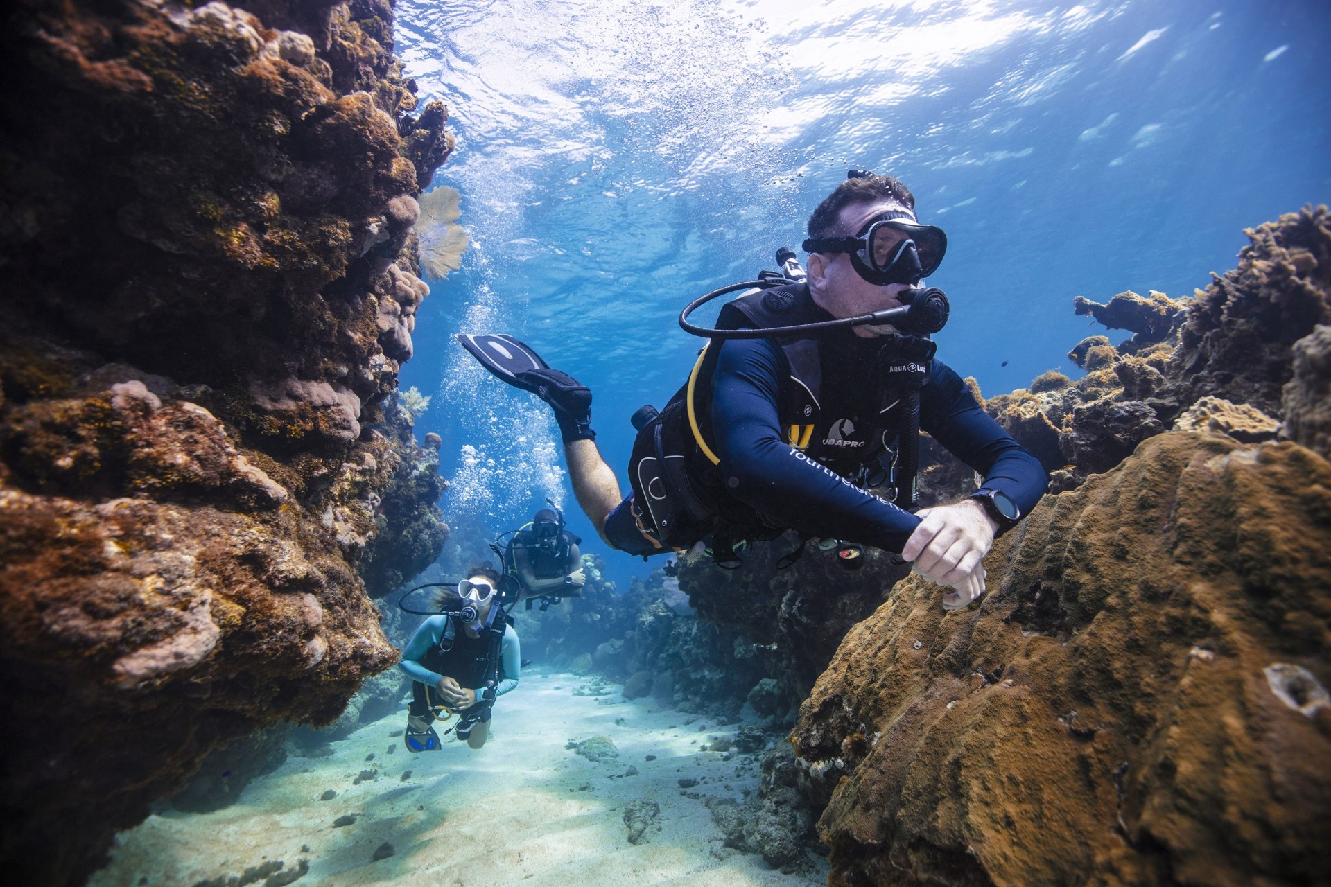 Scuba diver exploring a coral reef in Playa del Carmen